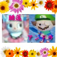 アンドラ＆睡蓮