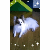 ナホ