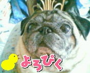モモリン＆モモちゃん