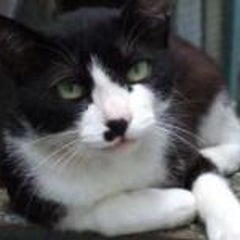 このオチがわかるか 松本人志の放送室 梅吉の日記 ヾ ゚d゚ ノ このオチがわかるか 松本人志の放送室 梅吉の日記 ヾ ゚d゚ ノ