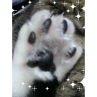 優愧