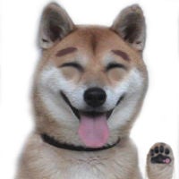 ぽち