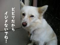 しるすぴ