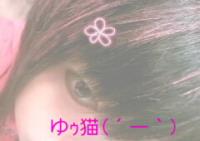 ゆｩ猫(´―｀)
