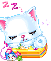 コン