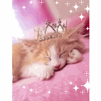 めぐみ