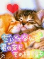 ねこたん