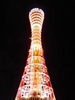タイト