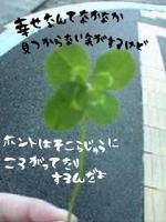 ぇりぁ