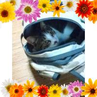 ★めぐみ★