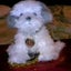 画像 hideojichanのブログのユーザープロフィール画像