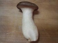 えりんぎ