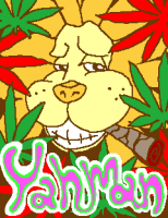 ★みぃ☆