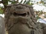 koma