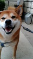 カオリン