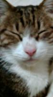 ちゃこ