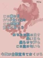 ＊みかん＊
