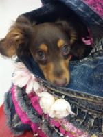 Mary