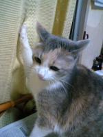 まり