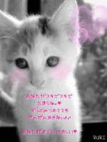 ★Karen★