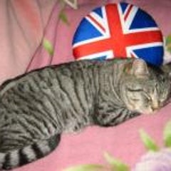 ロンドナーのプロフィール