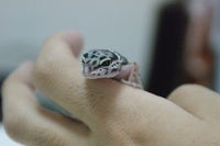 ぐるぐるじゃんぐる