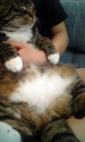 ちー