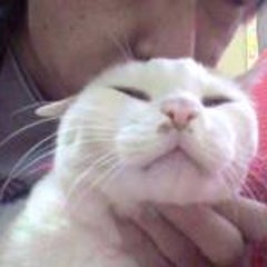 アマナのプロフィール