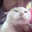 画像 フリージング・レイン～猫と娘、ときどきクリーン＆ソーバー～のユーザープロフィール画像