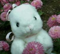 キャラメイクのできるゲームをチェックしてみる11年2月 テトテトの日々