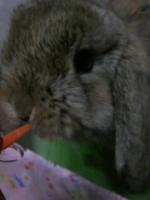 みぃ。☆