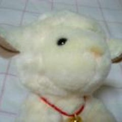 夕風ブレンド アーセンの憂鬱 たまこのスキモノブログ 夕風ブレンド アーセンの憂鬱 たまこのスキモノブログ