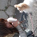 パピーラブ♡りりあ・らに・れいあ