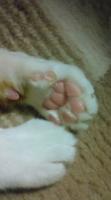 すず