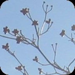sorairoのプロフィール