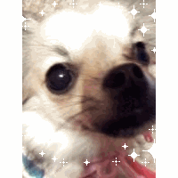 モコ