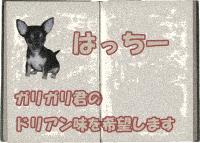 はっちぃー（仮名）