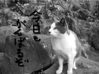 まー