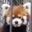 あもるのサムネイル