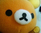 良ちゃん