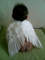 ミ～シュカ♪