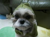 SOR@