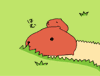 わたポン★