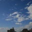 画像 ねこのてのユーザープロフィール画像