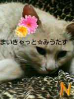 (Й∀Й)