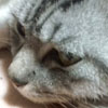 うだうだうだ