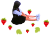 楓