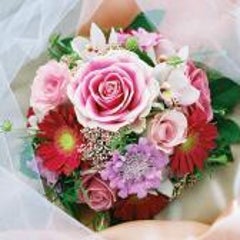 ティアラのプロフィール