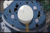 西の果てからコンニチワ！