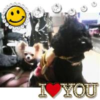 ☆★YUKI★☆